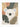 Waschbarer Kinderteppich Rio Creme Mehrfarbig
